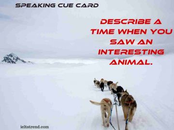 Describe A Time When You Saw An Interesting Animal