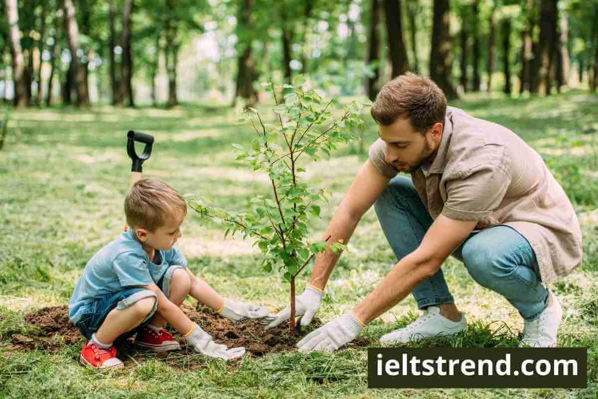 Some People Say It Is More Important to Plant Trees in the Open Spaces