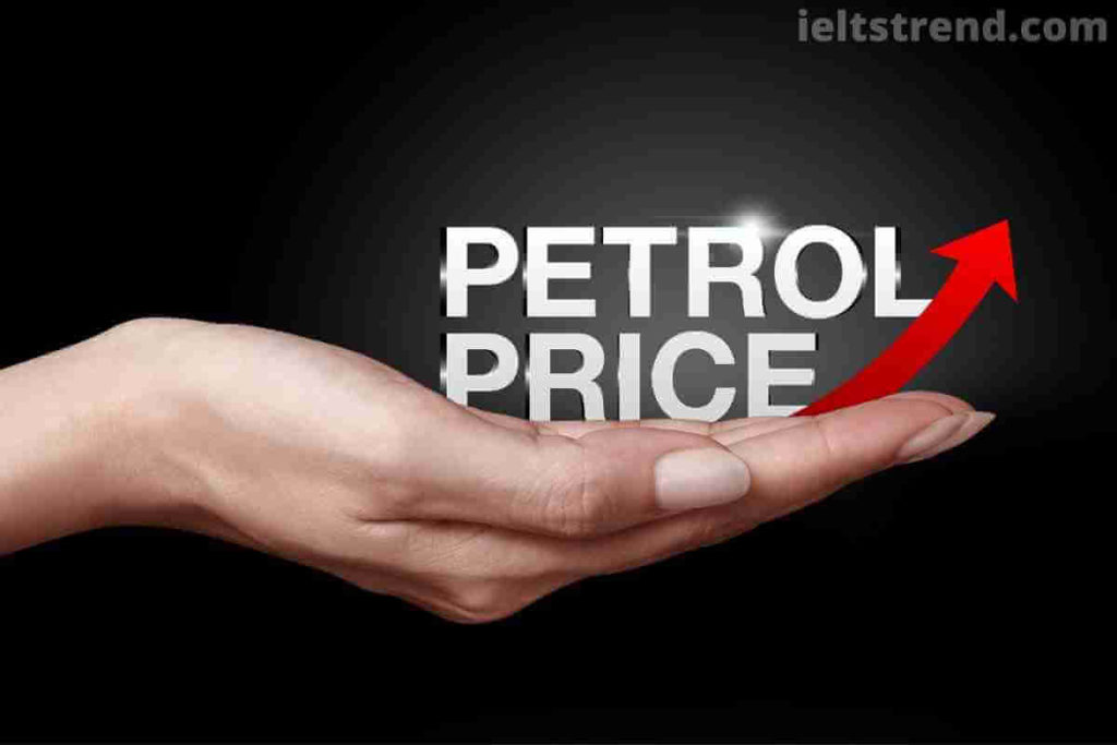 Increasing the Price of Petrol Is the Only Way to Solve Environmental Problems. (1)