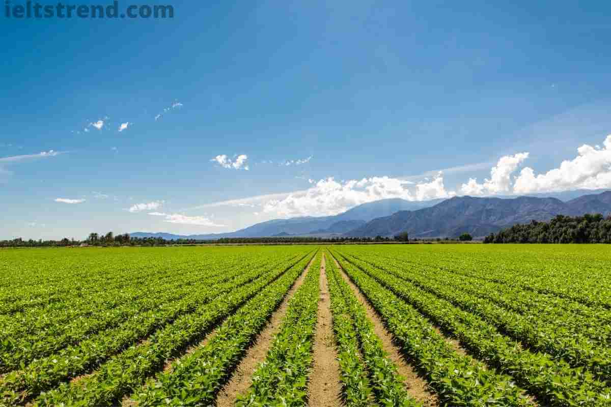 Talk about a time when you visited a farm or met with a farmer (1)