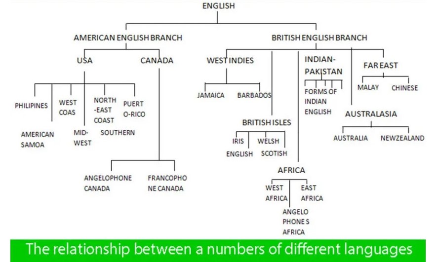 The diagram shows the relationship between many different languages