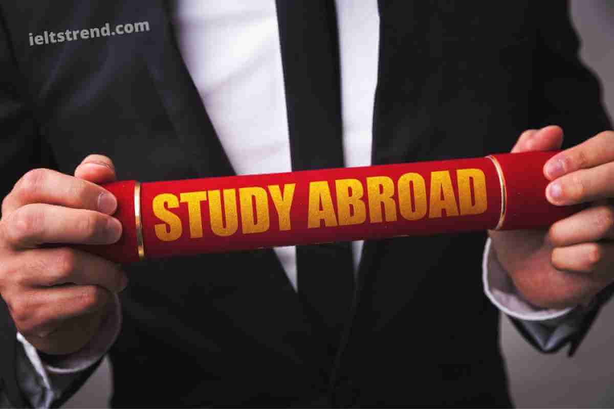 Many Students Decide to Further Their Studies Abroad (1)