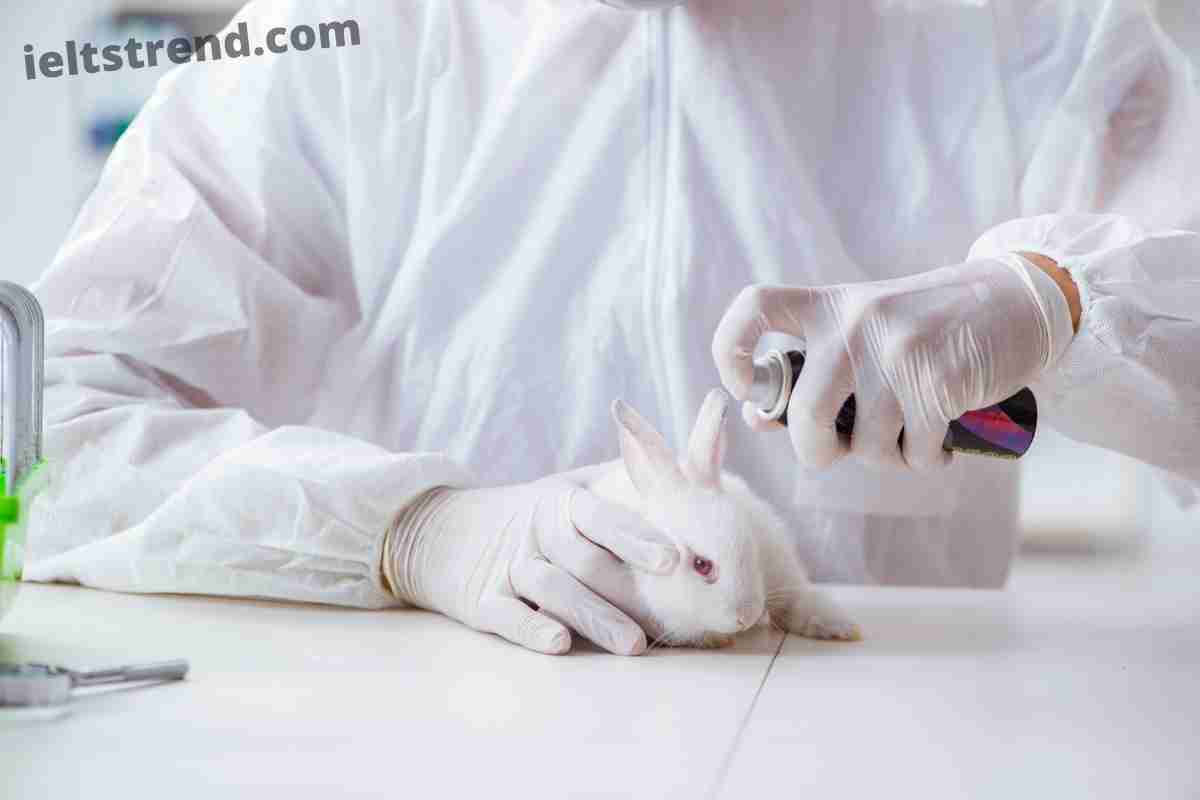 Nowadays Animal Experiments Are Widely Used to Develop New Medicines Writing Task 2