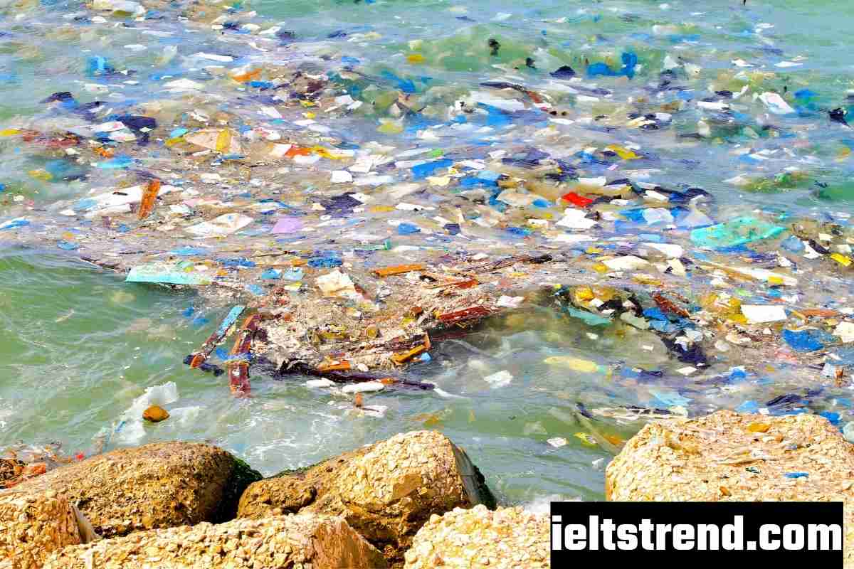 You Have Discovered A Lot Of Rubbish In A Lake Near Where You Live