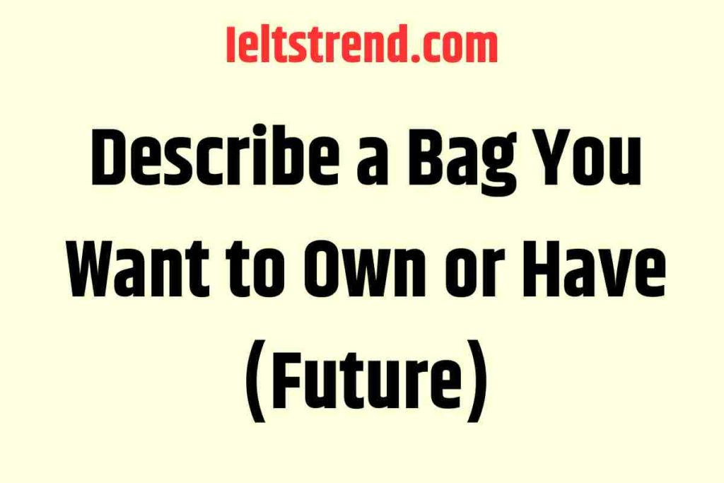 Describe a Bag You Want to Own or Have (Future)