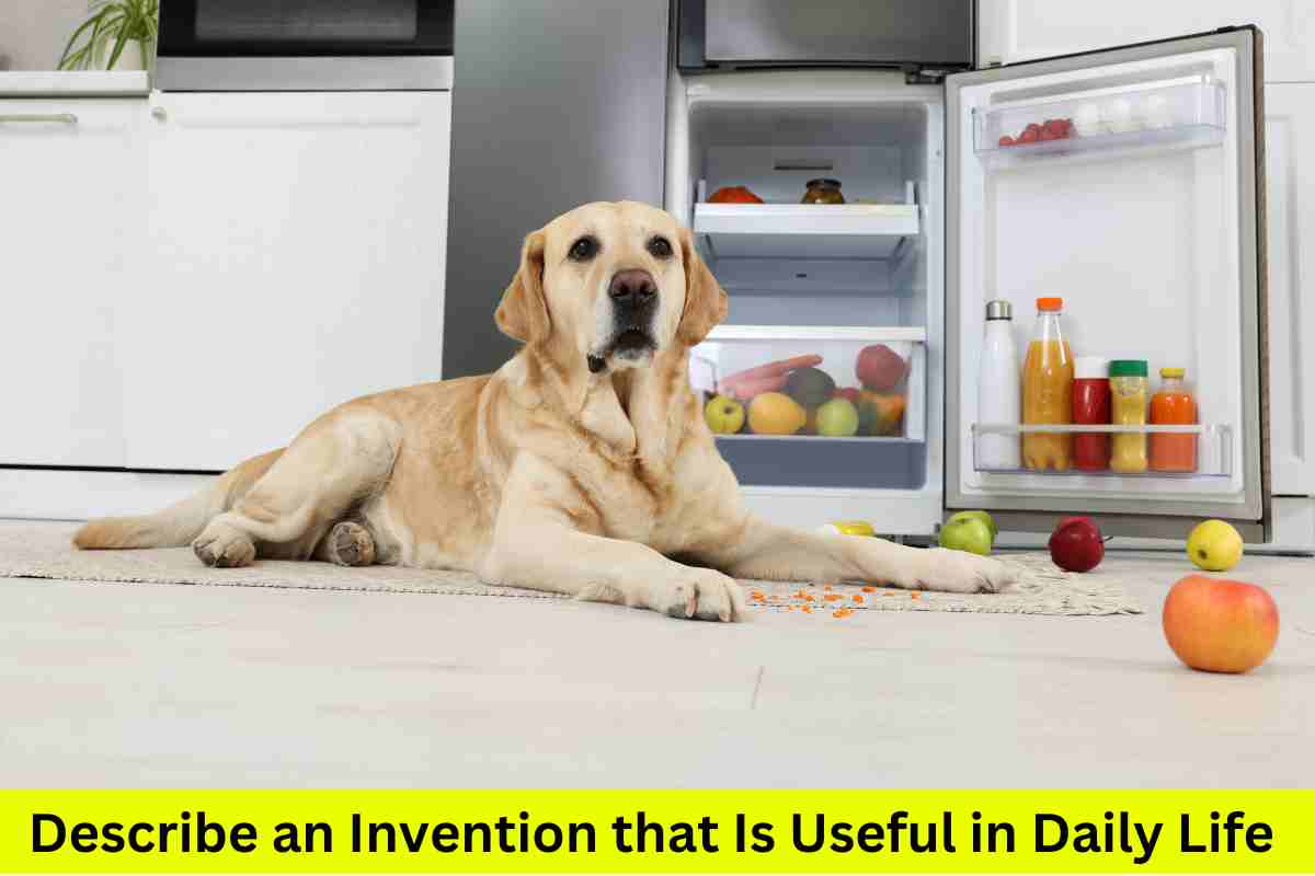 Describe an Invention that Is Useful in Daily Life